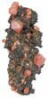 Red Vanadinite Crystals on Manganese Oxide - Morocco #38484-1